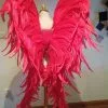 Ailes En Plumes De Coq -Halloween Soldes Magasin 800x800 1203