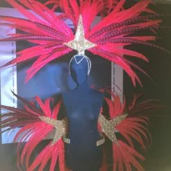 Armature De Hanches Et Casque Plumes