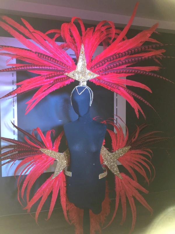 Armature De Hanches Et Casque Plumes 3 Armature De Hanches Et Casque Plumes