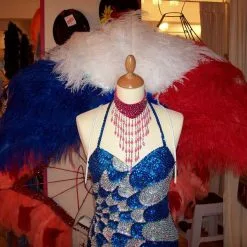 Armature Demie Roue En Autruche