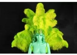 Demie Roue Et Casque