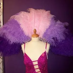 Dos En Autruche 3 Couleurs