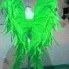 Ailes En Plumes De Coq -Halloween Soldes Magasin 800x800 1235