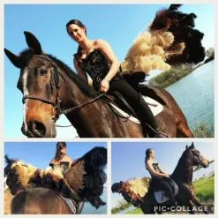 Armature En Plumes Autruche