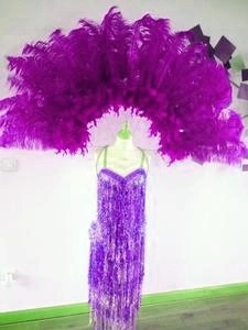 Demie Roue Haute En Plumes Autruche