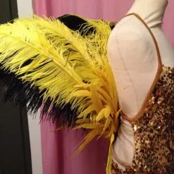 Tours De Taille En Autruche Et Coq