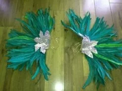 Armatures De Bras En Coq