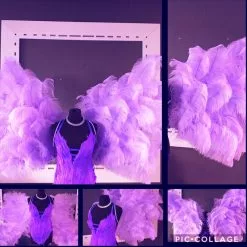 Ailes En Plumes D'autruche