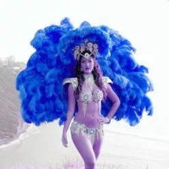 Armature En Plumes D'autruche