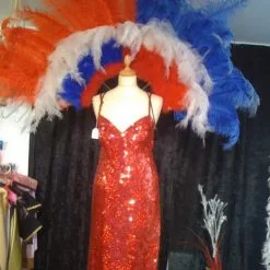 Dos En Plumes D'autruche Et Floss Bleu Blanc Rouge