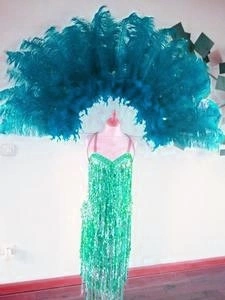 Demie Roue Haute En Autruche