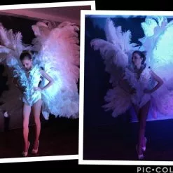 Grandes Ailes En Plumes Autruche