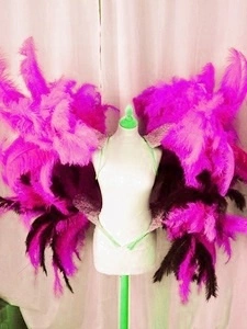 Armature Brésilienne Hanches Et épaules