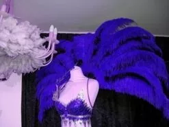 Demie Roue En Autruche Taillée