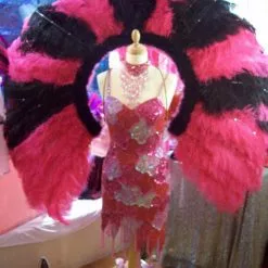 Dos Plumes D'autruche