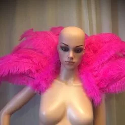 Petite Demie Roue En Plumes