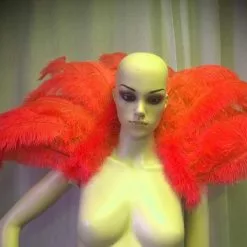 Petite Demie Roue En Plumes