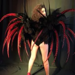 Armature De Hanches En Faisan