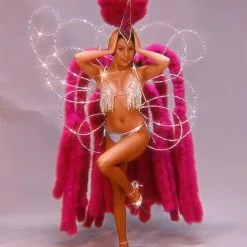 Dos En Cascade De Marabouts D'autruche