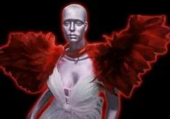 Armature En Plumes D'oie