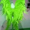 Ailes En Plumes De Coq -Halloween Soldes Magasin 800x800 1341