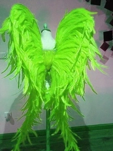 Ailes En Plumes De Coq