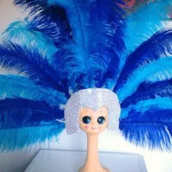 Casque Bresilien Autruche