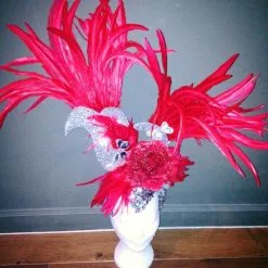 Casque En Plumes De Coq