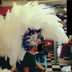 Crete En Plumes Autruche