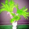Casque En Plumes De Coq -Halloween Soldes Magasin 800x800 17