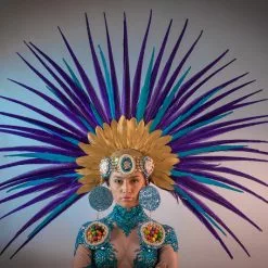 Casque En Faisans Commun