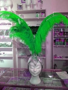 Crête En Plumes Autruche