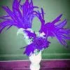 Casque En Plumes De Coq -Halloween Soldes Magasin 800x800 195