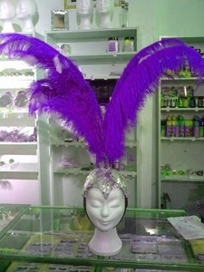 Crête En Plumes Autruche