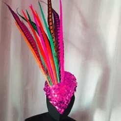 Casque En Plumes De Faisan