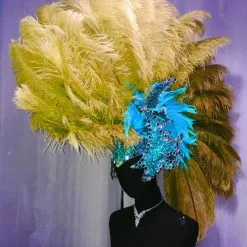 Crête En Plumes D'autruche