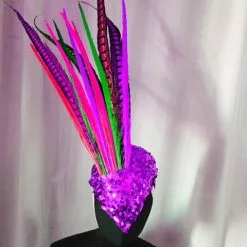 Casque En Plumes De Faisan