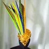 Casque En Plumes De Faisan -Halloween Soldes Magasin 800x800 215