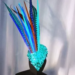 Casque En Plumes De Faisan