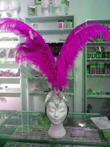 Crête En Plumes Autruche