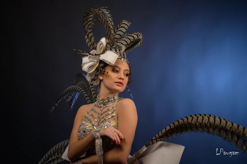 Casque Modiste En Faisans 3 Casque Modiste En Faisans