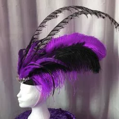 Casque En Autruche, Faisan Et Coq