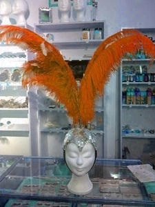 Crête En Plumes Autruche