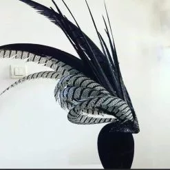 Bibi En Plumes De Faisans