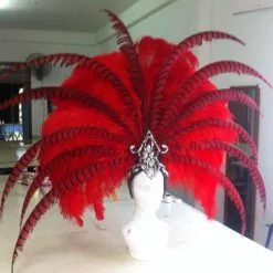Casque En Plumes Autruche Et Faisan