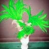 Casque En Plumes De Coq 2 Casque En Plumes De Coq -Halloween Soldes Magasin 800x800 332