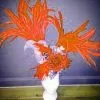 Casque En Plumes De Coq 1 Casque En Plumes De Coq -Halloween Soldes Magasin 800x800 334
