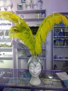 Crête En Plumes Autruche