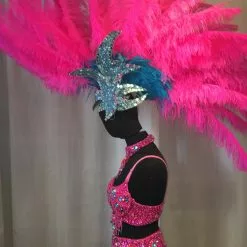 Crête En Plumes D'autruche