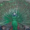Costume Avec Dos En Plumes De Paon -Halloween Soldes Magasin 800x800 383